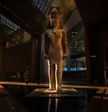 converted_image_50_percent_2